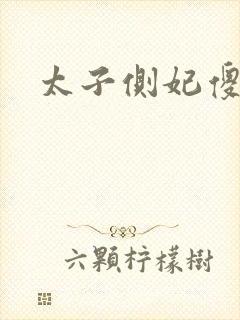 太子侧妃傻乎乎封面