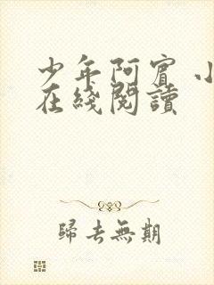 少年阿宾 小说在线阅读