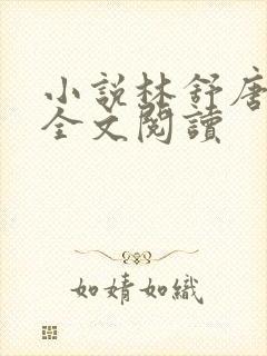 小说林舒唐亦琛全文阅读