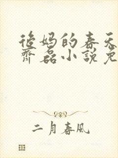 后妈的春天赵妍齐磊小说免费阅读