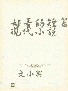 好看的短篇言情现代小说封面