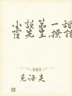 小说第一甜妻:霍先生,撩错了免费阅读