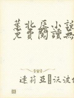 叶北辰小说全文免费阅读无弹窗最新章节