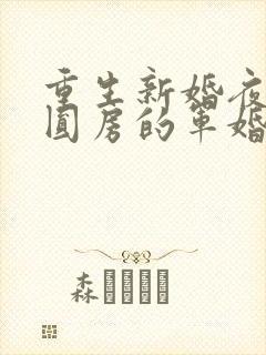 重生新婚夜正在圆房的军婚封面