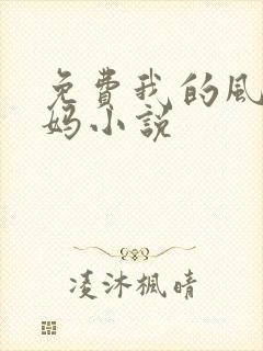 免费我的风流妈妈小说封面