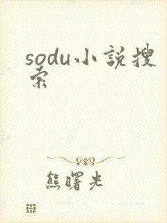 sodu小说搜索