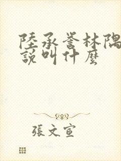 陆承誉林隅眠小说叫什么封面