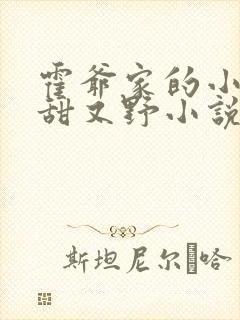 霍爷家的小祖宗甜又野小说免费阅读