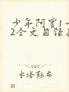 少年阿宾1一72全文目录在线