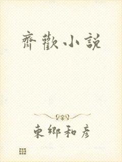 齐欢小说
