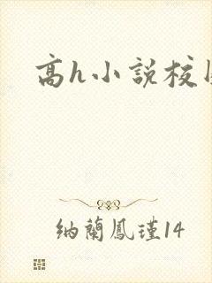 高h小说校园