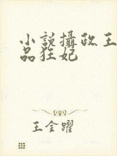小说摄政王的医品狂妃