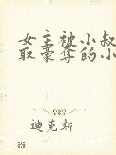 女主被小叔子强取豪夺的小说封面