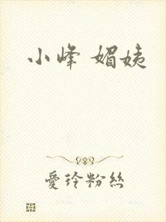 小峰 媚姨封面