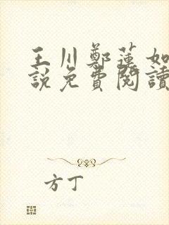 王川郑莲如的小说免费阅读全文