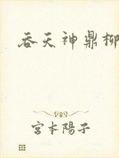 吞天神鼎柳无邪