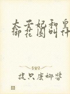 太子妃和皇帝在御花园叫什么小说