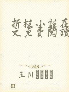 折枝小说在线全文免费阅读无弹窗