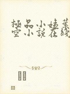极品小姨叶凡司空小说在线阅读全文