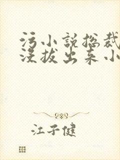 污小说总裁整夜没拔出来小说在线阅读