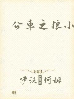 公车之狼小说