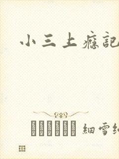 小三上瘾记封面