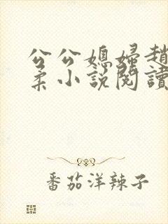 公公媳妇赵刚苏柔小说阅读封面