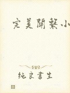 完美关系小说封面
