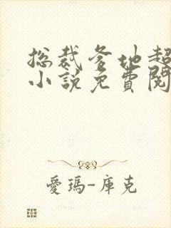 总裁爹地超给力小说免费阅读全文封面