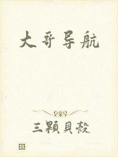 大哥导航