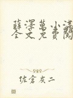 薛泽万小满小说全文免费阅读封面