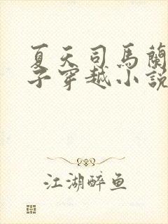 夏天司马兰九皇子穿越小说笔趣阁封面