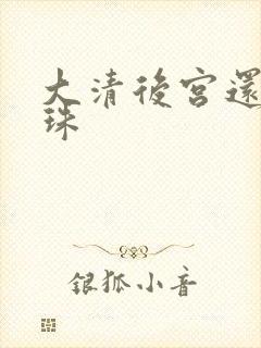 大清后宫还君明珠