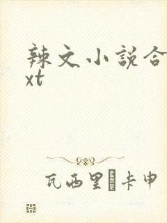 辣文小说合集txt
