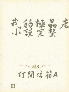 我的极品老婆 小说完整