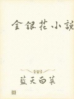 金银花小说乐可封面