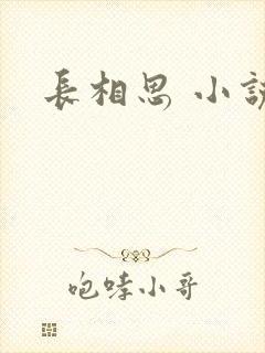长相思 小说