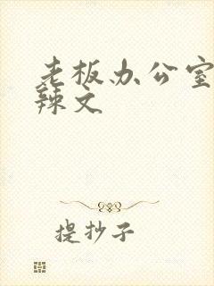 老板办公室系列辣文
