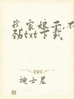 我家娘子,不对劲txt下载封面
