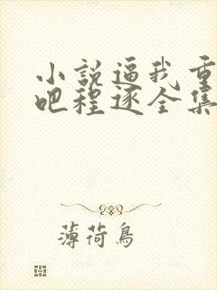 小说逼我重生是吧程逐全集