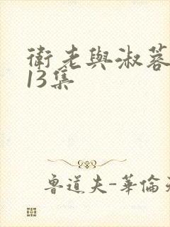 卫老与淑蓉1一13集