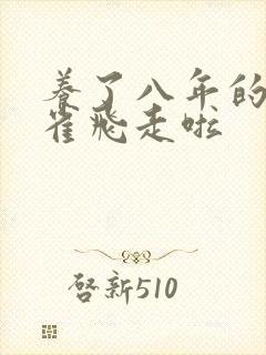 养了八年的金丝雀飞走啦