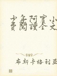 少年阿宾小说免费阅读全文免费