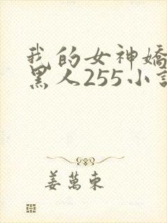 我的女神娇妻与黑人255小说封面