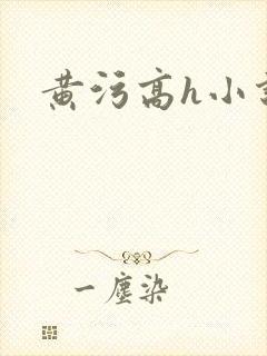黄污高h小说