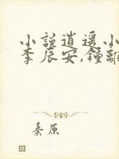小说逍遥小贵婿李辰安,钟离若水