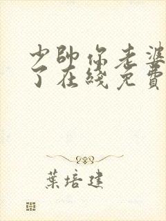 少帅你老婆又跑了在线免费阅读