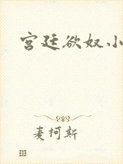 宫廷欲奴小说封面