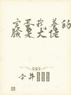 完蛋我养的小白脸是大佬