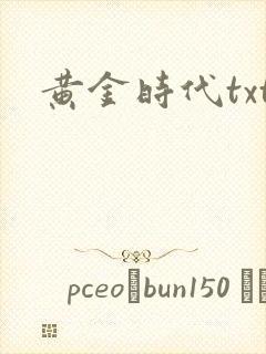 黄金时代txt
